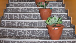 Un escalier orné de trois pots en terre cuite contenant des plantes, un panneau vert indiquant la sortie et un plafond blanc.