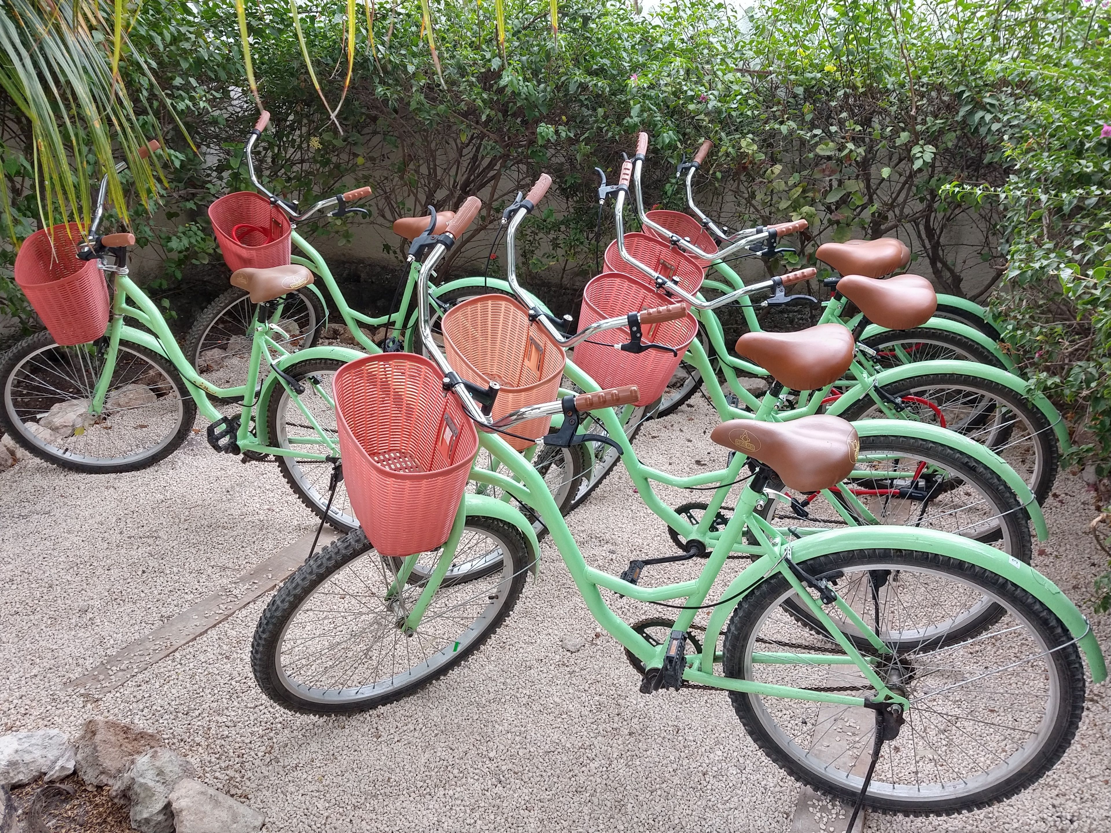 A row of green bicycles with baskets and saddles, parked on a gravel surface.