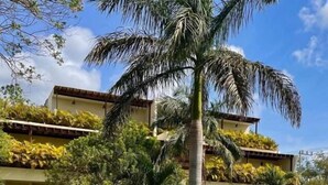 A resort with a pool, palm trees, and a building with balconies. - Xscape Tulum (Tulum)