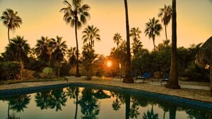 A pool reflecting palm trees and a sunset. - Hacienda Todos Los Santos (Todos Santos)