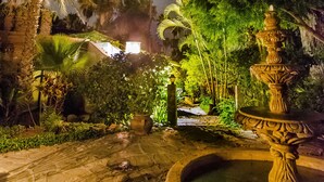 A night scene with a starry sky, palm trees, and a fountain in a garden setting. - Hacienda Todos Los Santos (Todos Santos)