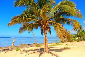 Playa en los alrededores