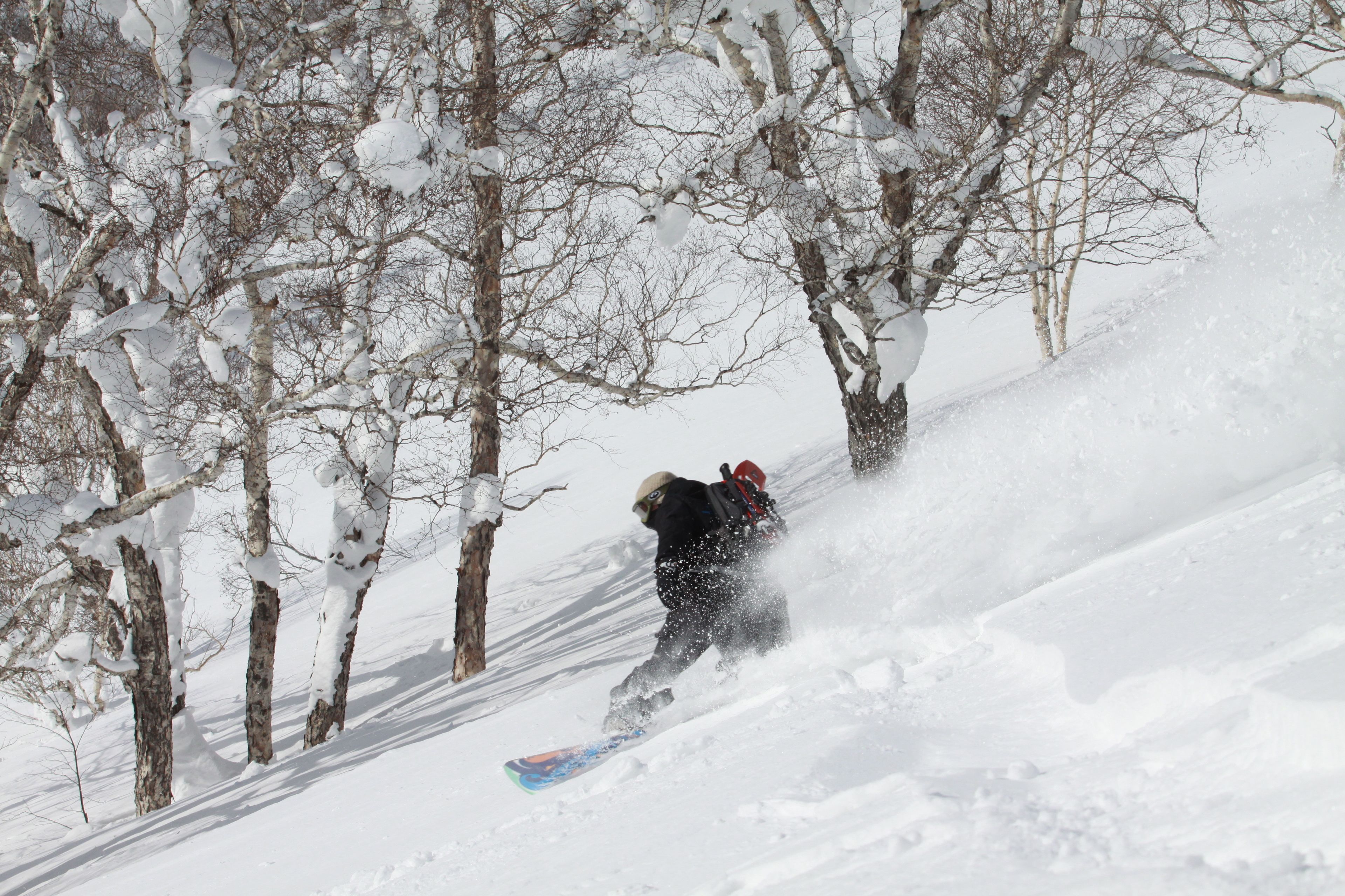 A person snowboarding down a snowy slope with trees on either side.