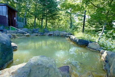 Aguas termales