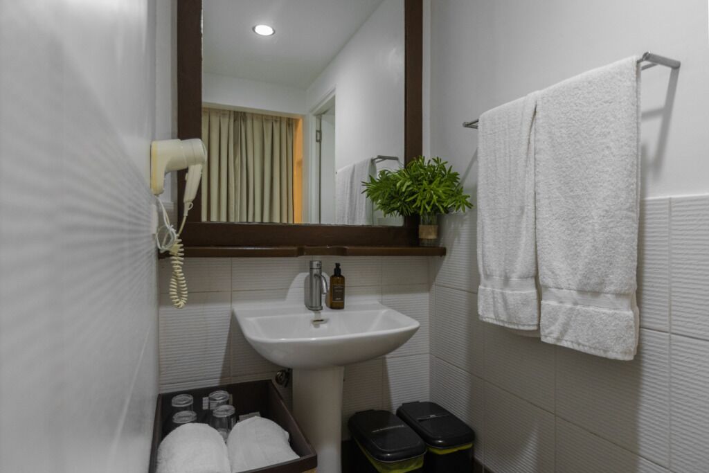 A bathroom with a white sink, a mirror, a towel rack with two towels, a potted plant, and a trash bin.