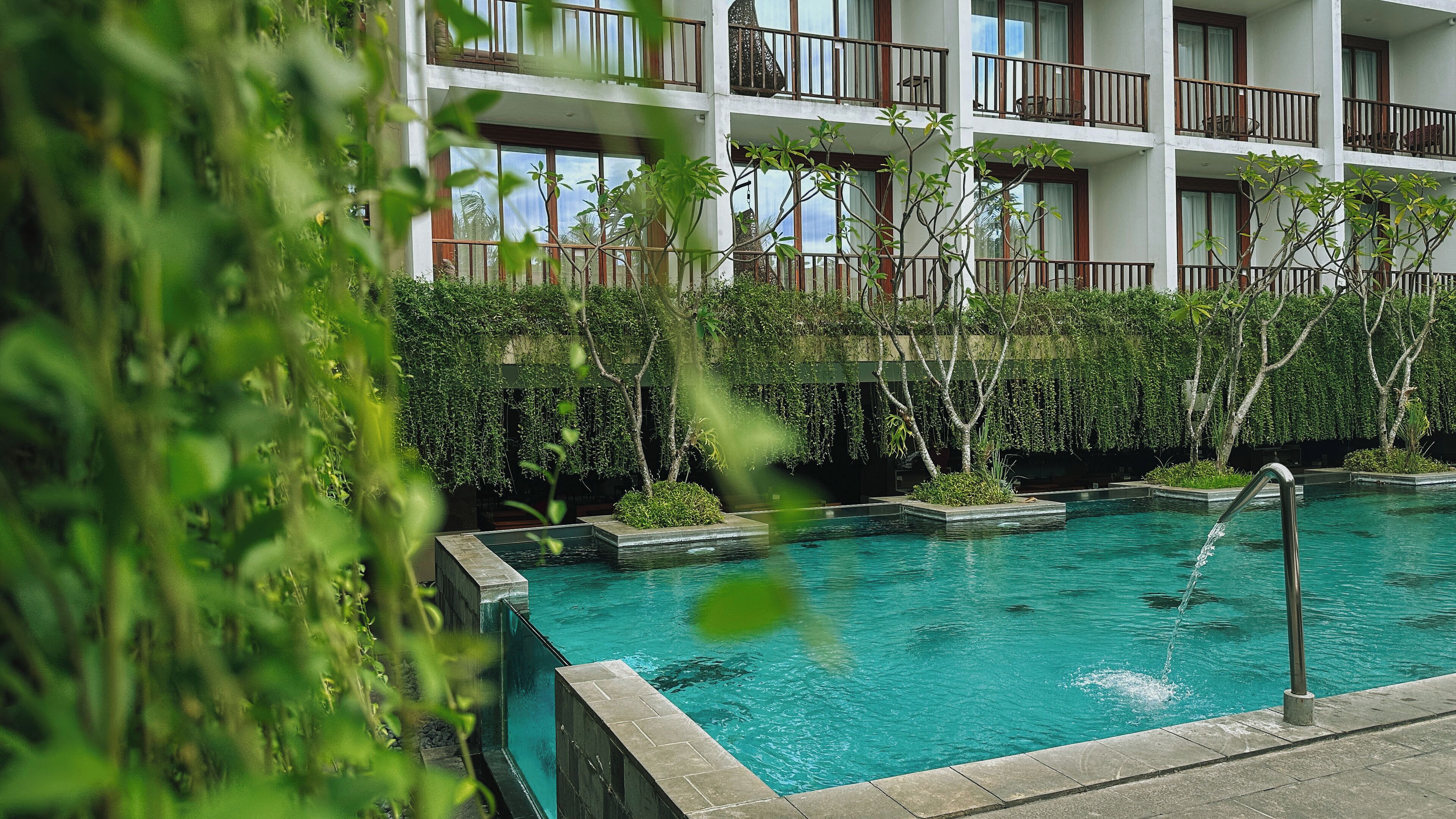 Piscina a l&#x27;aire lliure i gandules 