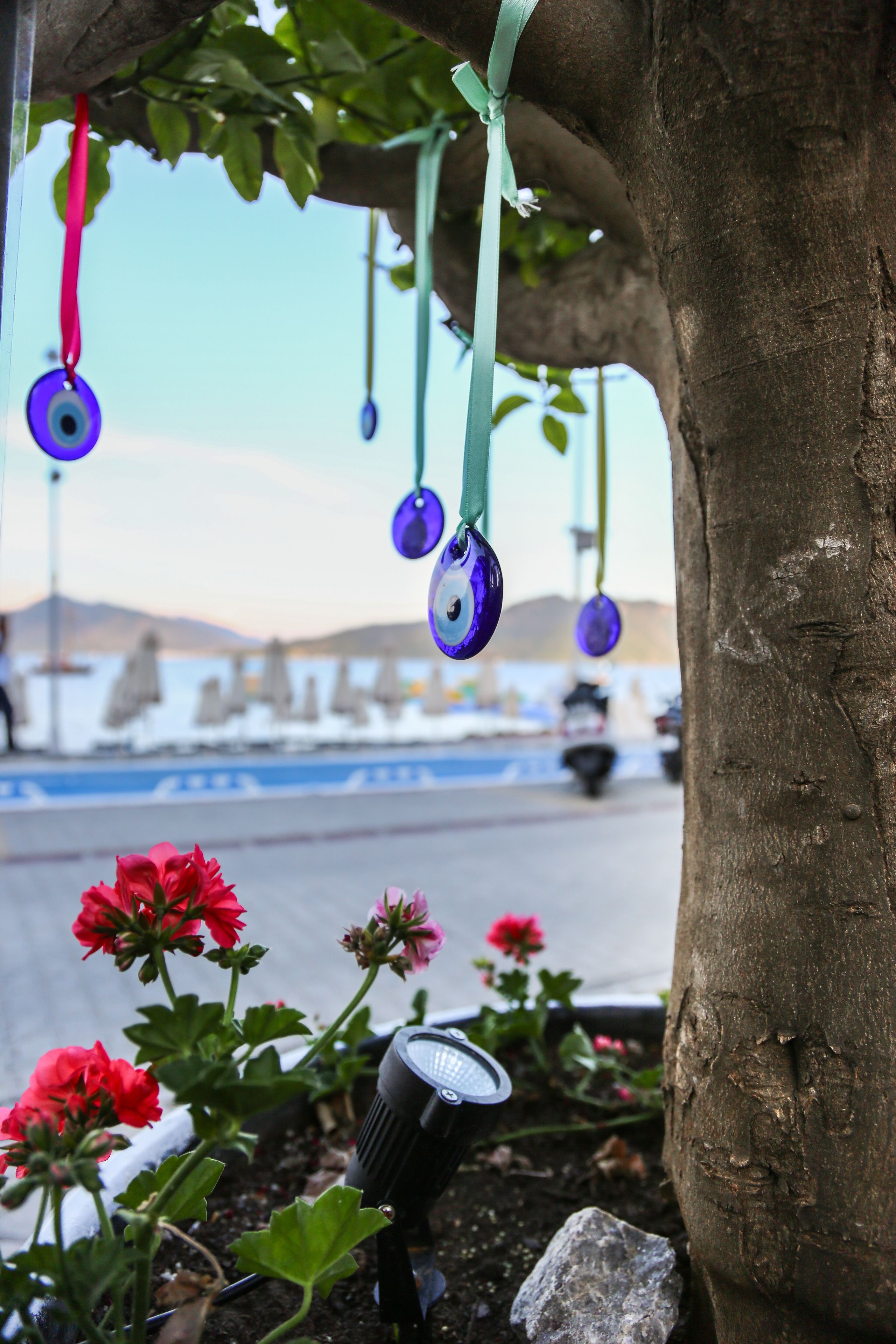 Foto - B&B Yuzbasi Beach