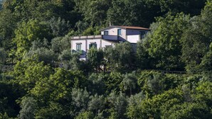Een huis met twee verdiepingen, verscholen tussen weelderige bomen.