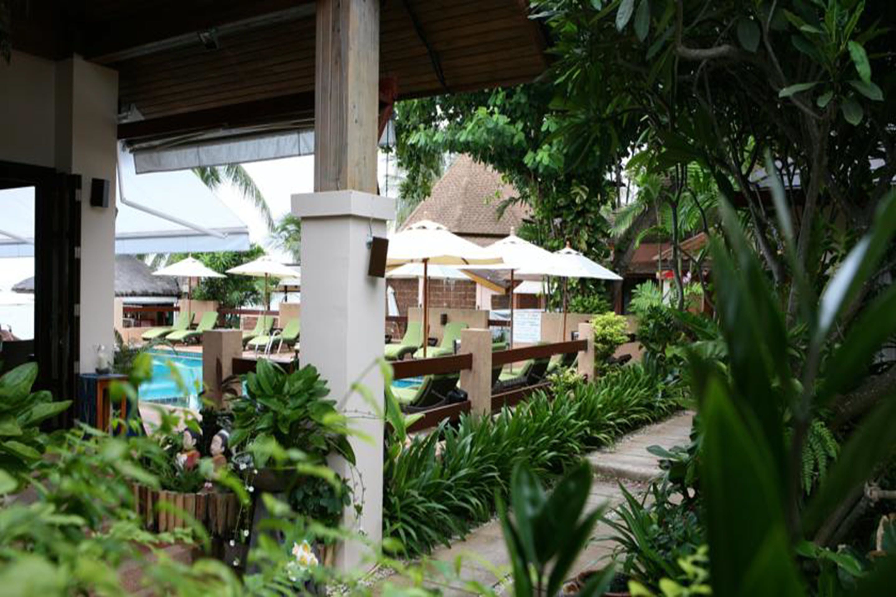 A covered outdoor area with lounge chairs and umbrellas, surrounded by lush greenery.