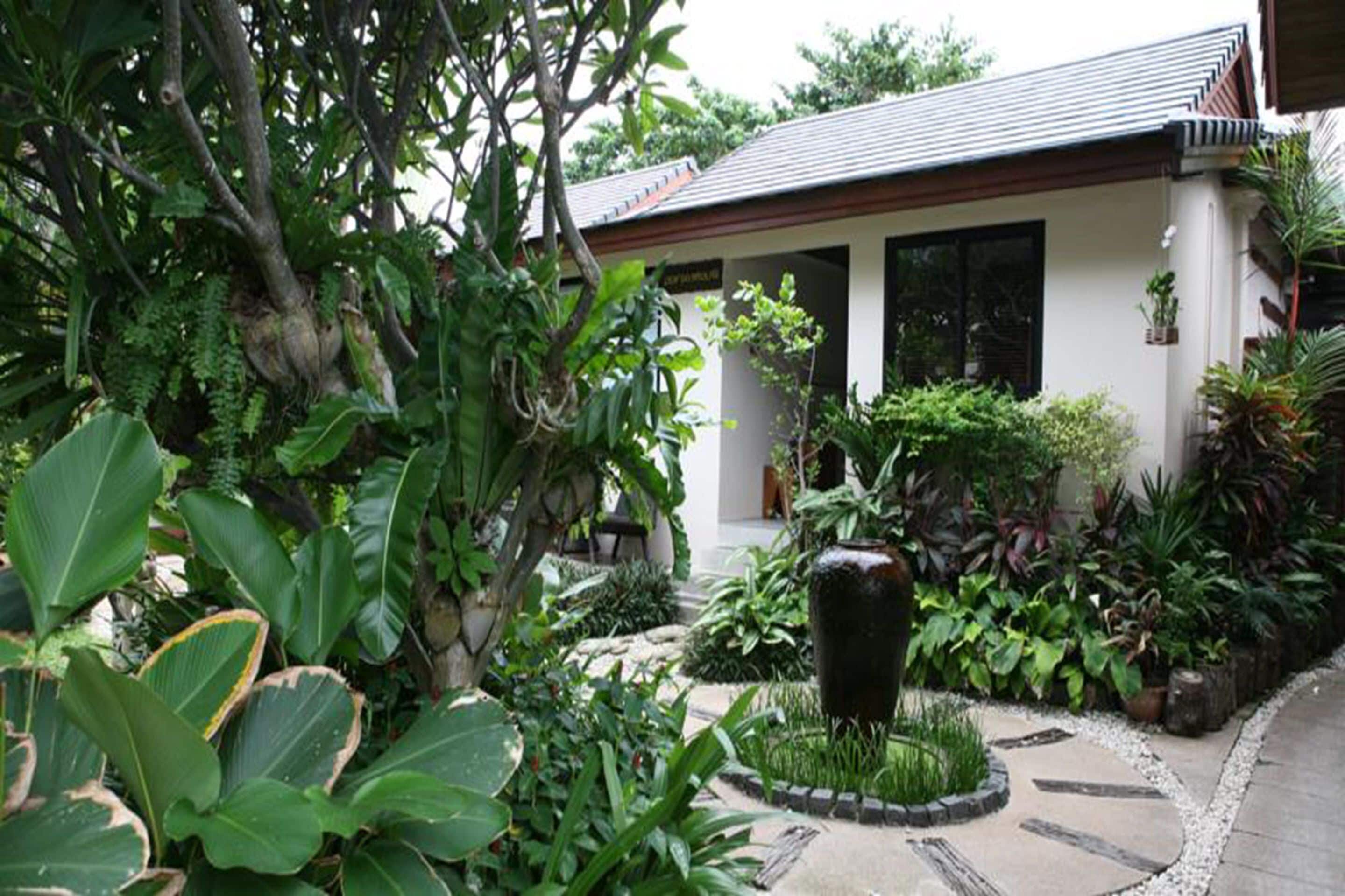 Photo - Samui Jasmine Resort - SHA Plus