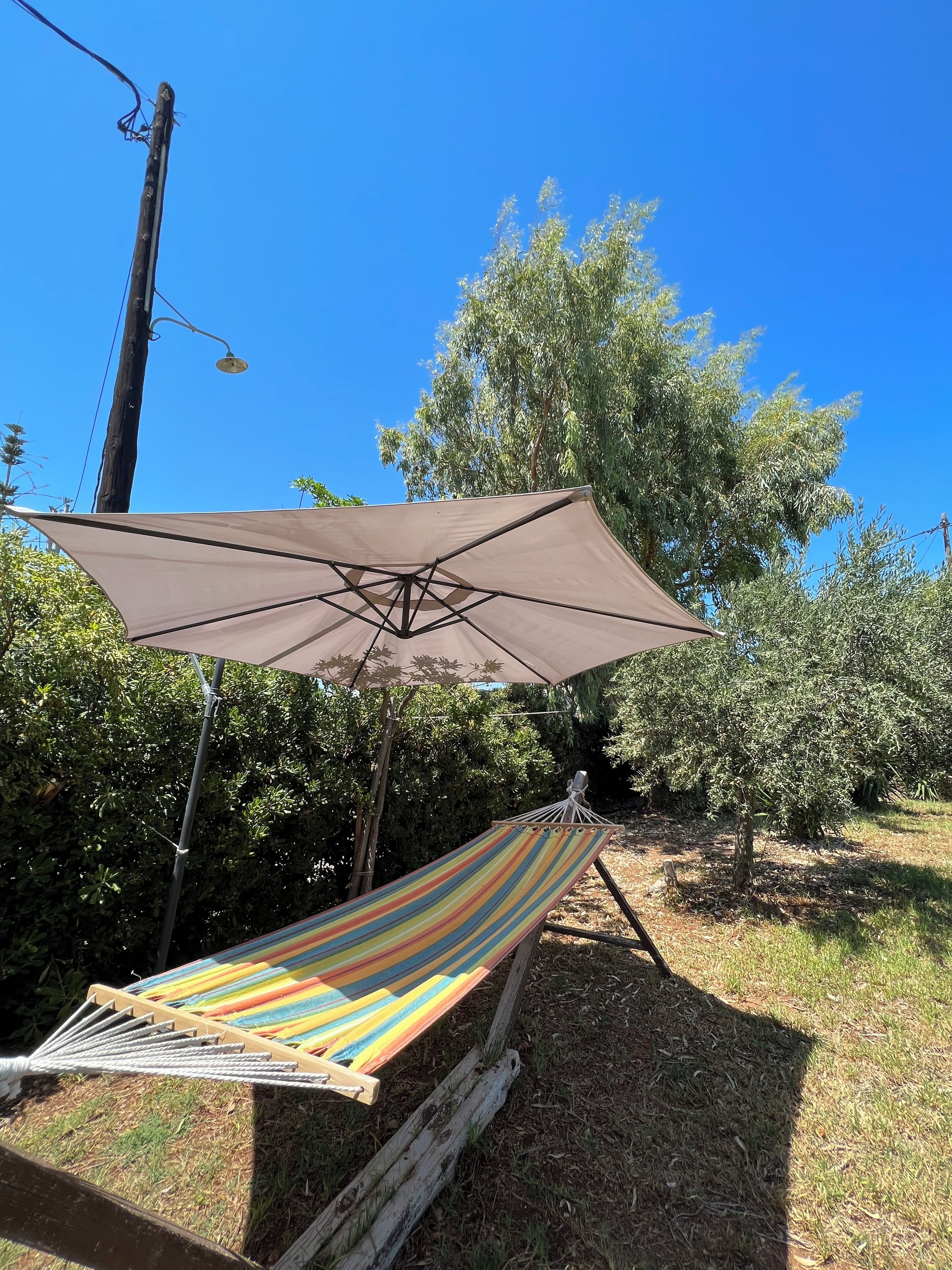 A hammock under a large umbrella in a garden with trees and a clear sky.