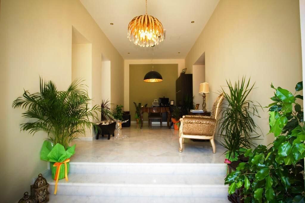 A spacious foyer with a grand chandelier, a comfortable sofa, and multiple potted plants.