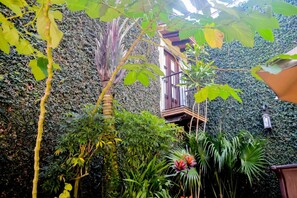 Khuôn viên nơi lưu trú