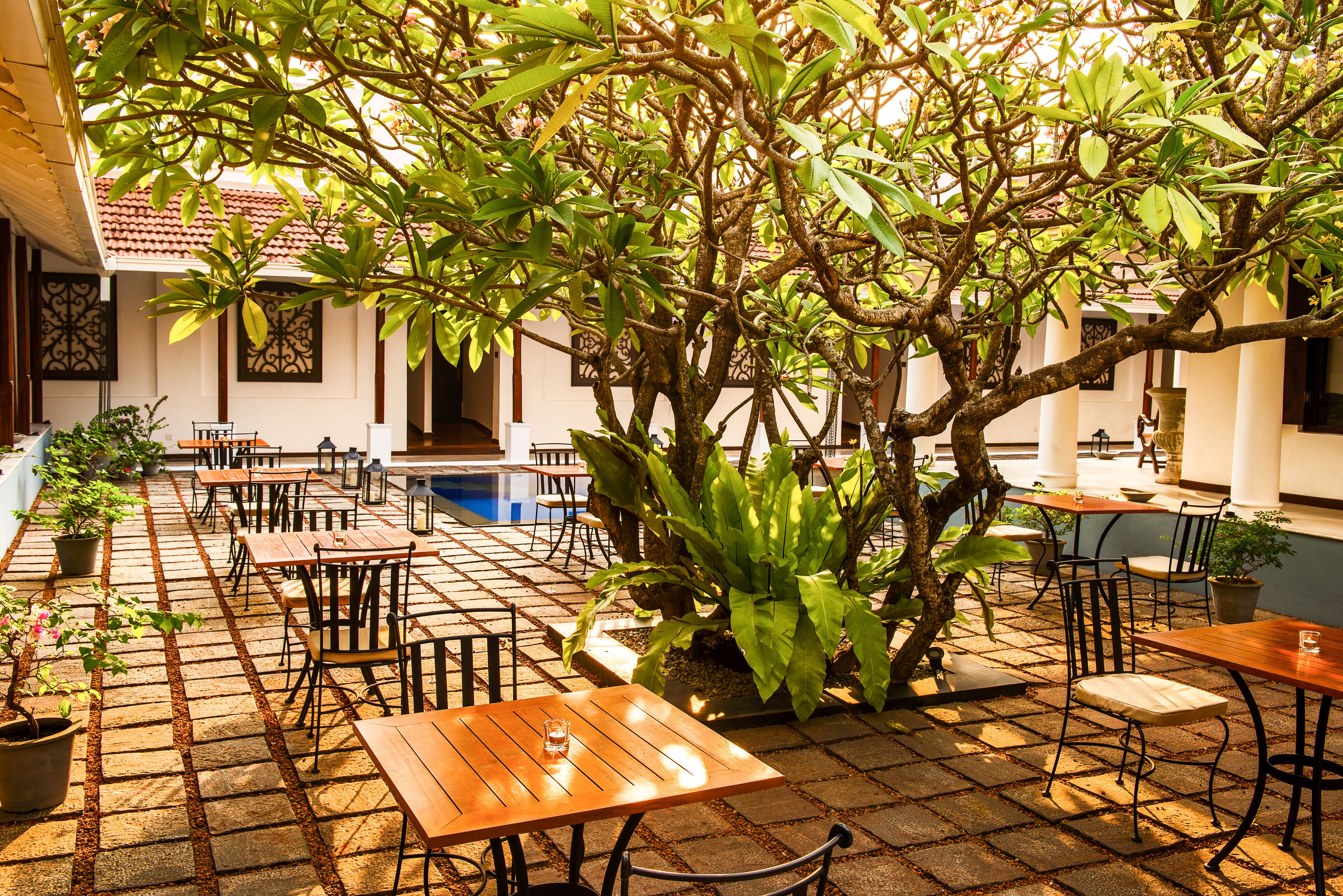 international cuisine