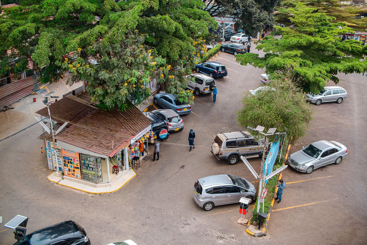 حديقة
