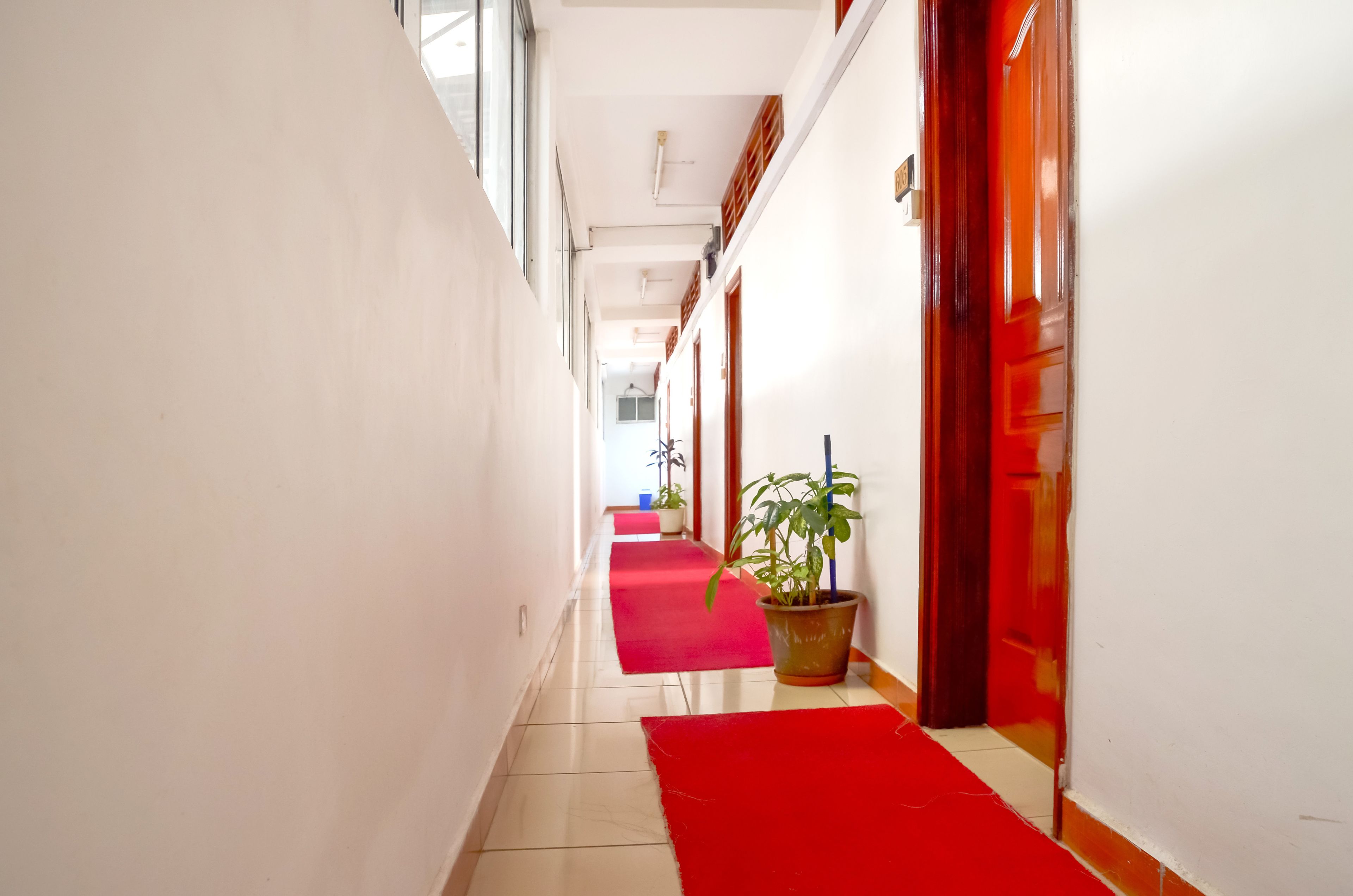 Un pasillo con alfombras rojas y plantas en macetas.
