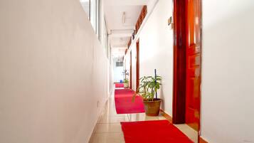 Un pasillo con alfombras rojas y plantas en macetas.