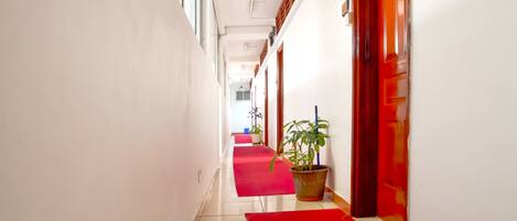 A hallway with red carpets and potted plants.