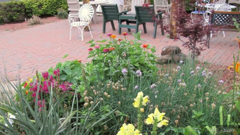 Casa Del Gavilan Historic Inn by null