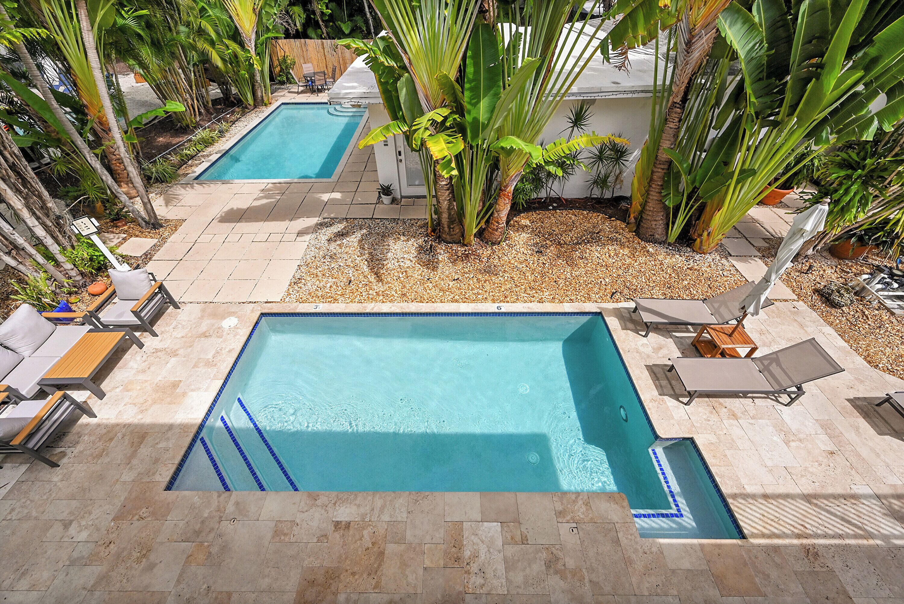 Una piscina rectangular con borde de azulejos, rodeada de sillas de descanso y palmeras.