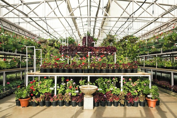 A greenhouse with multiple levels of potted plants and a central water feature.