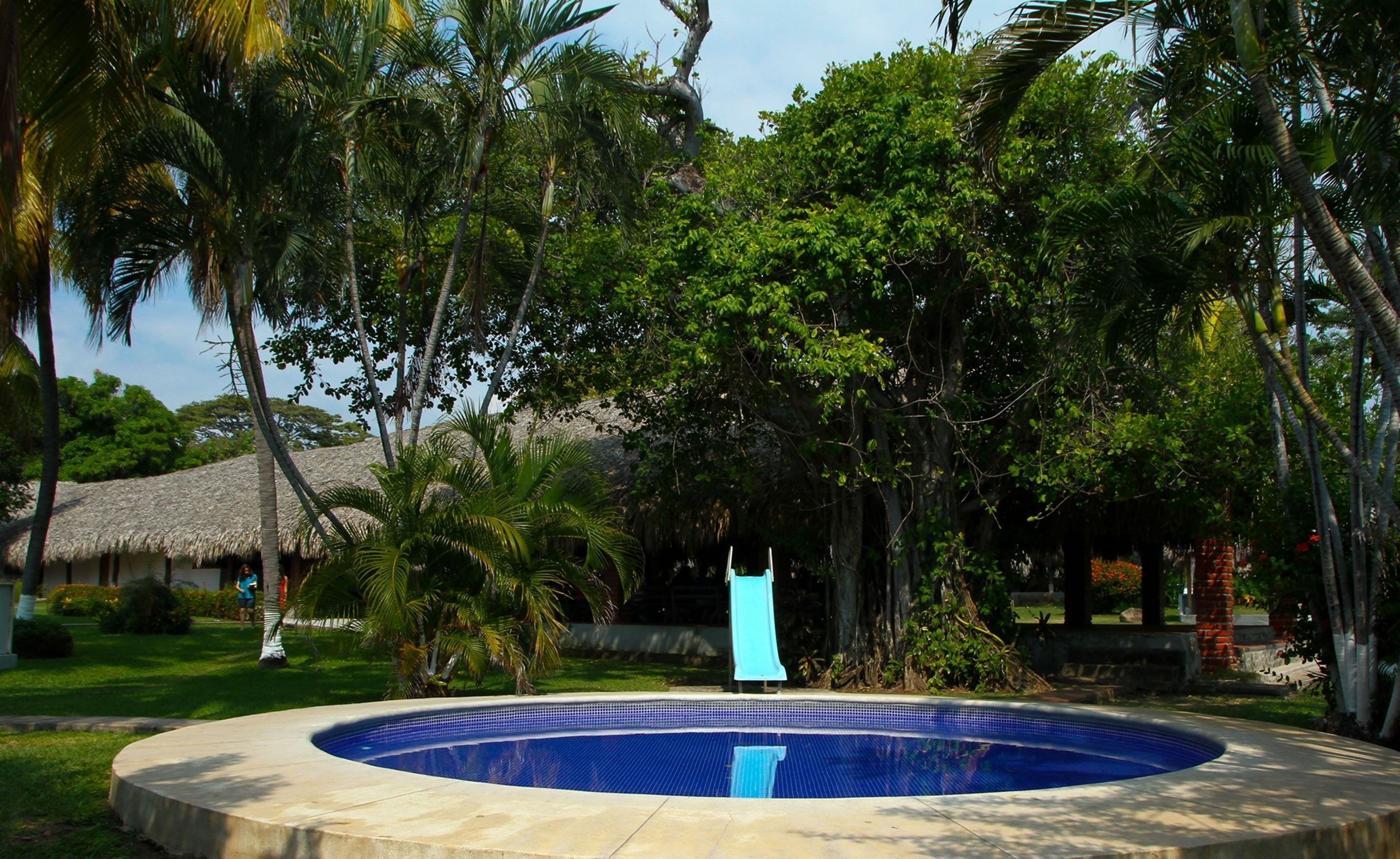 Una piscina circondata da vegetazione rigogliosa e una struttura con tetto di paglia.