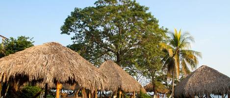 Thatched-roof huts with wooden tables and chairs, surrounded by palm trees and a large tree in the background.