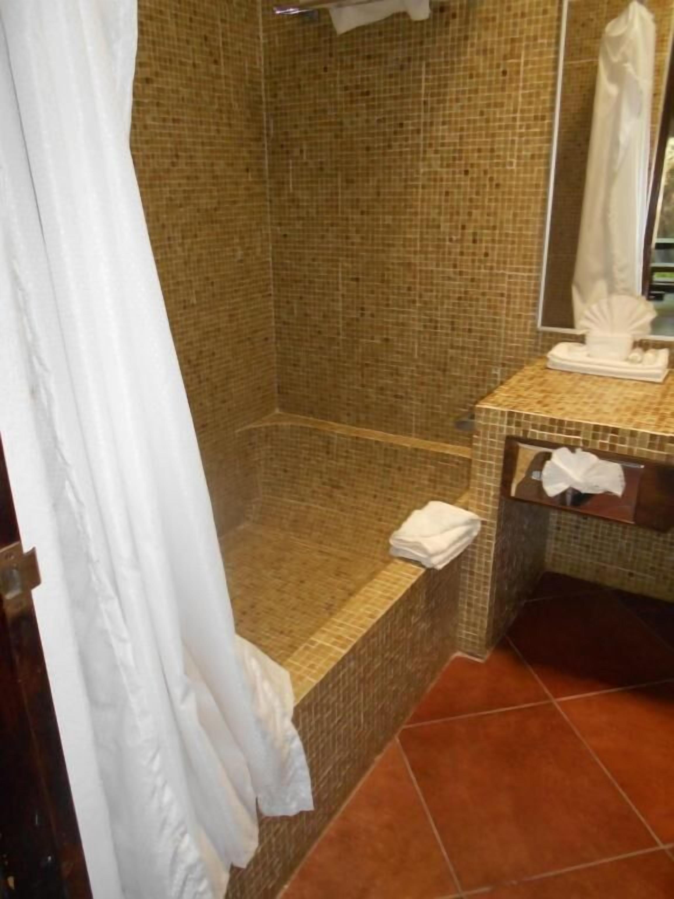standard room | bathroom | shower, free toiletries, hair dryer, towels