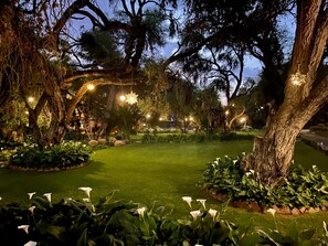 A well-lit garden with trees, grass, and white flowers.