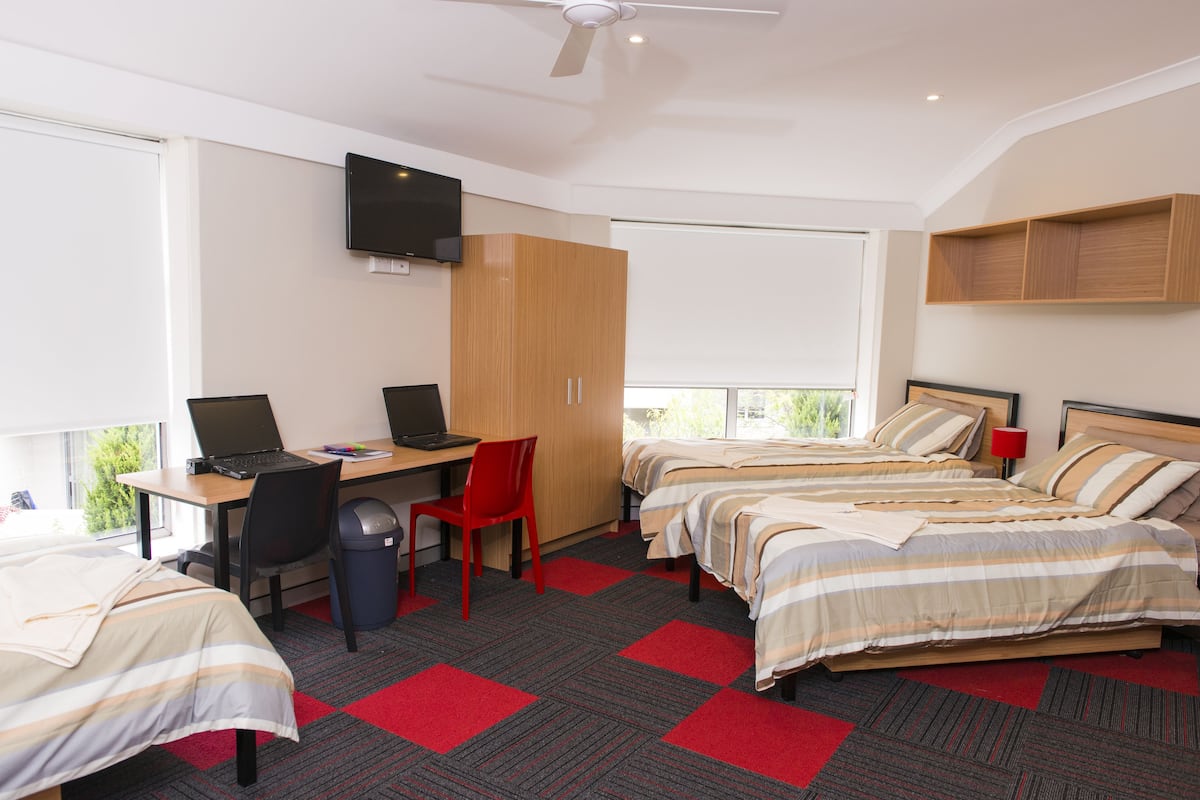 Habitación de hotel con dos camas, un escritorio con una computadora portátil, una silla, un televisor montado en la pared y una ventana que ofrece vistas a la vegetación.