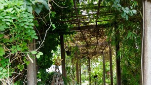 A stone pathway leading through a garden with a wooden pergola overhead. - Elysia Boutique Resort (Koh Samui)