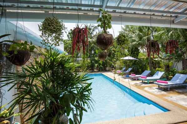 Outdoor pool, pool umbrellas, pool loungers