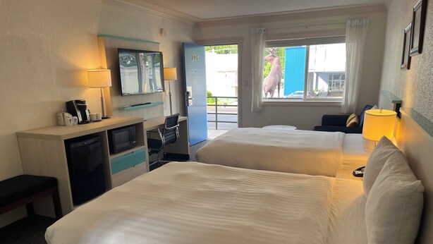 Une chambre d’hôtel avec deux lits, un bureau équipé d’un micro-ondes, une chaise et un téléviseur.