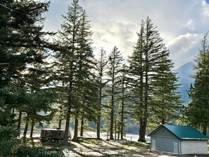 A forested area with a small cabin and a trailer. - Richca Chalets Resort (Hope)
