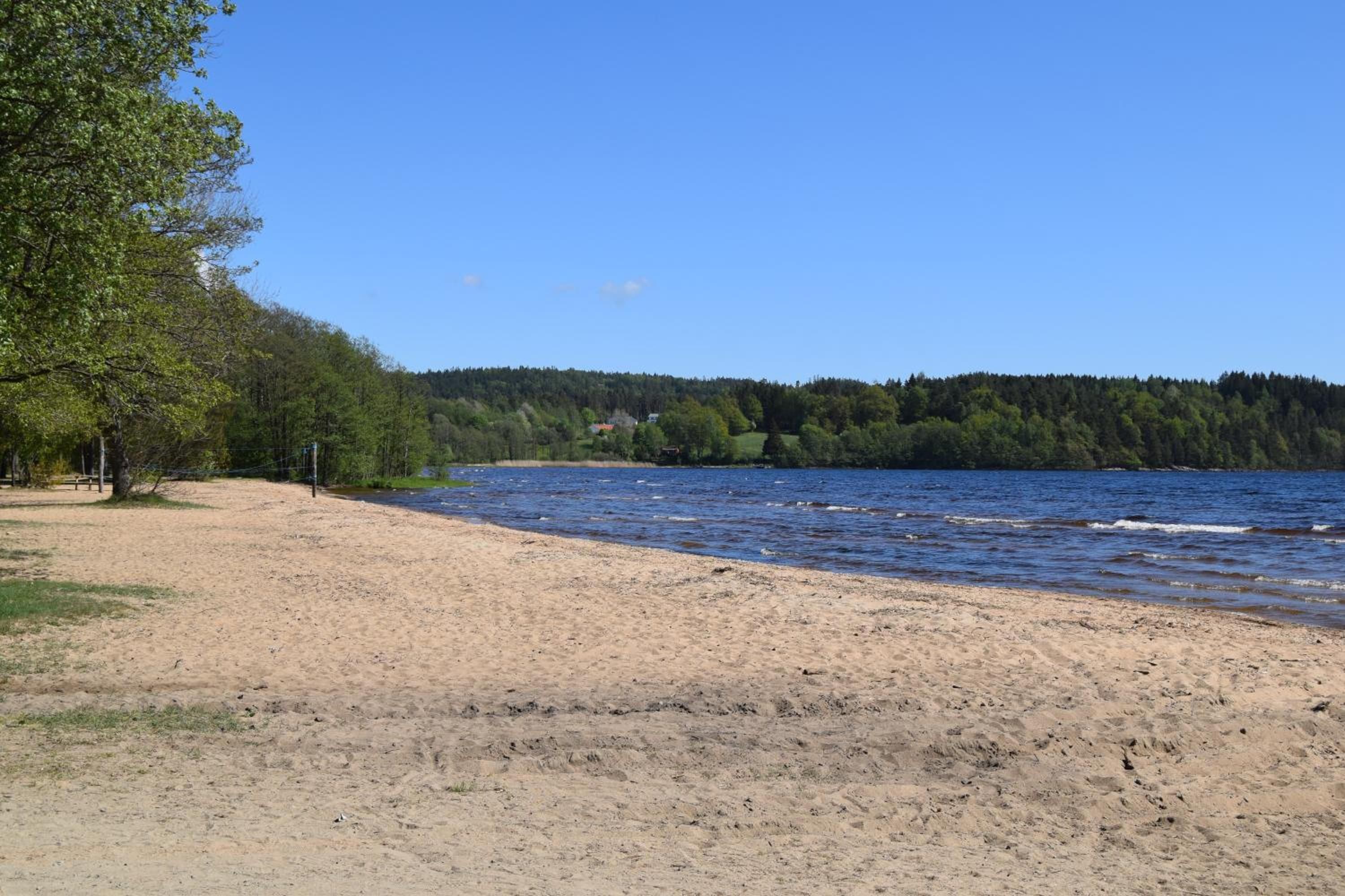 Une plage de sable bordée d’une rivière, avec des arbres et une colline boisée en arrière-plan.