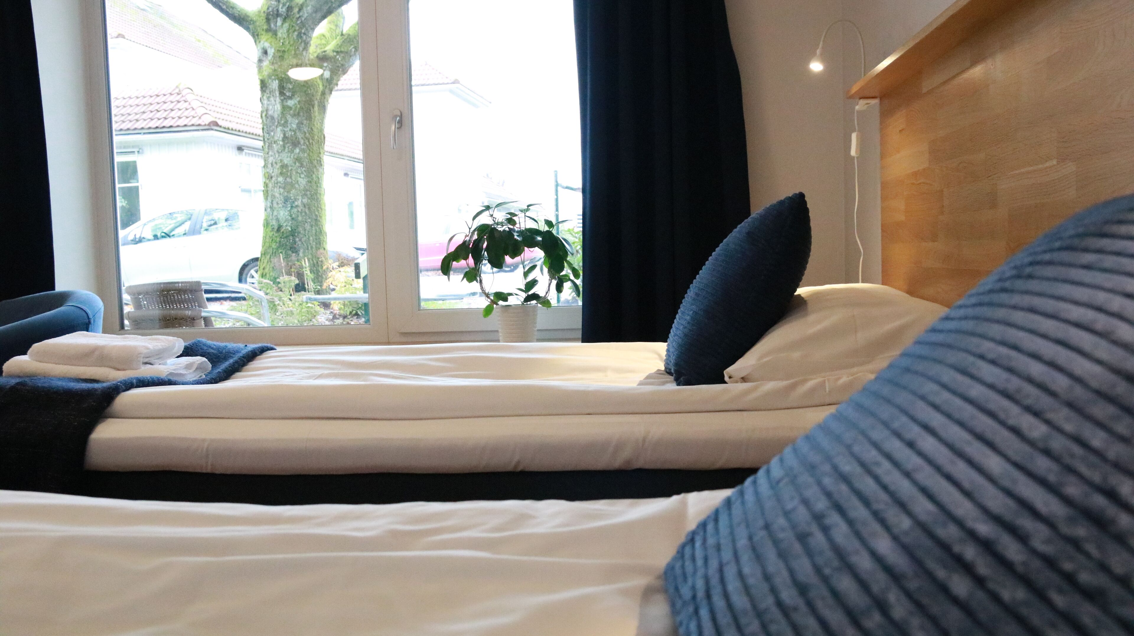 Un dormitorio con cama, ventana, planta y vistas al exterior.