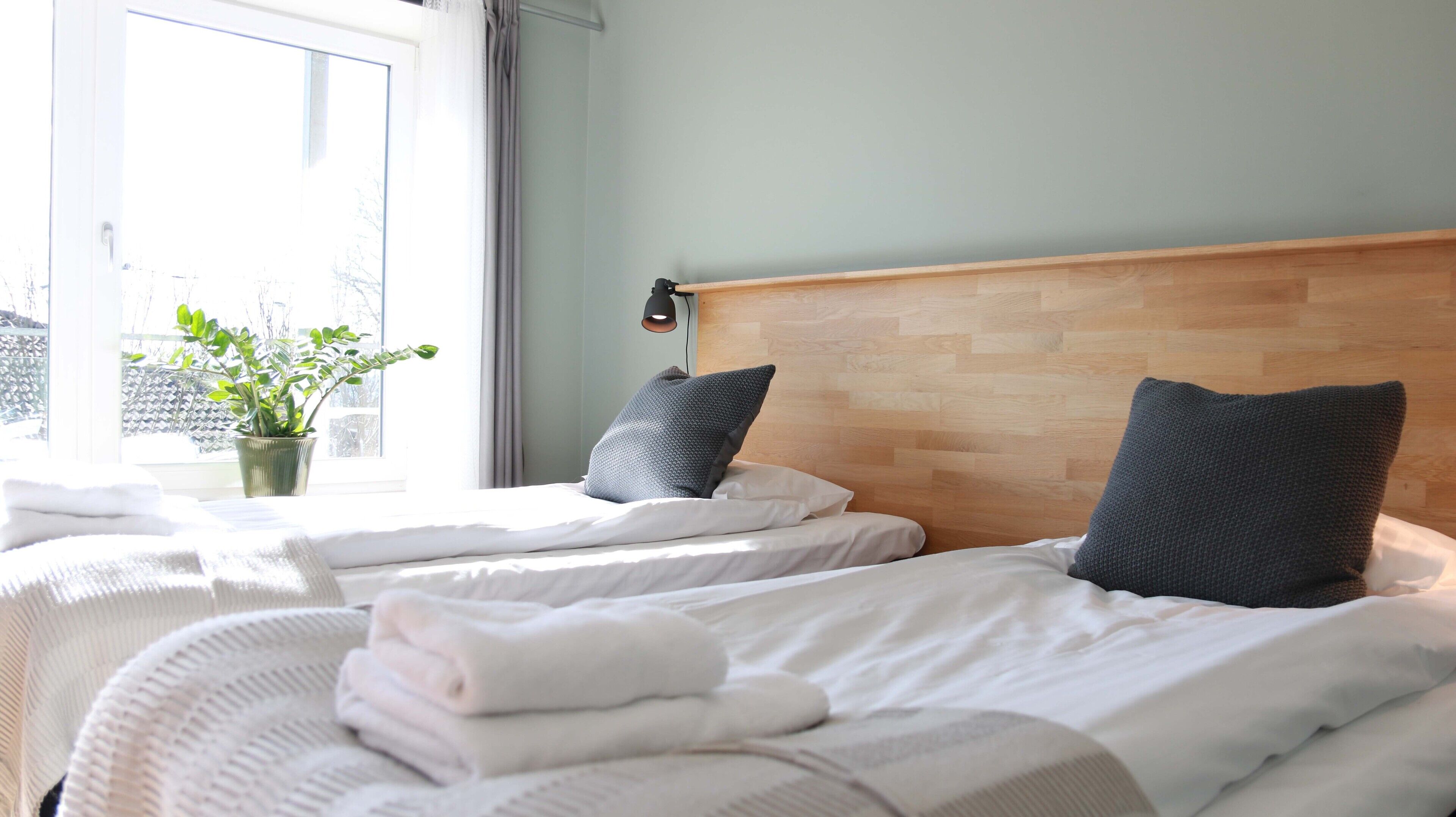 A hotel room with two beds, a potted plant, and a view of the outside.