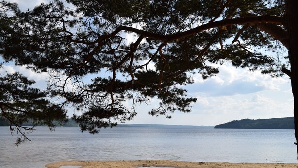 Vista del lago con playa de arena y un árbol en primer plano.