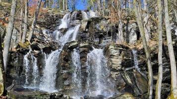 A waterfall surrounded by trees.