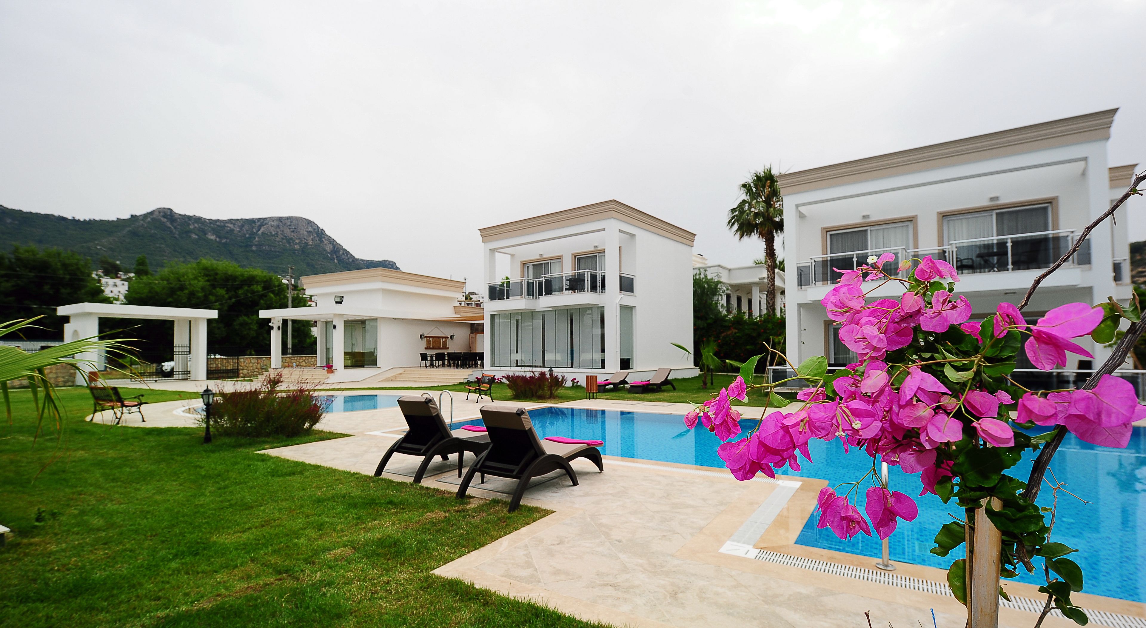 outdoor pool, pool umbrellas, pool loungers