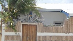 Una entrada protegida con puerta de madera, cerca de bambú y una palmera.