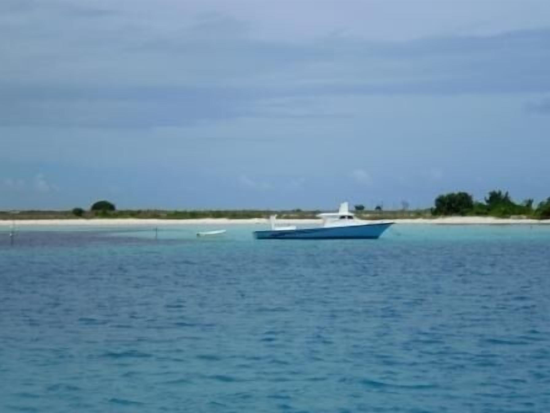 Un bote en un mar tranquilo con una playa de arena y vegetación escasa al fondo.