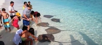 พลัสวิว มัลดีฟส์