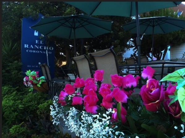 Property grounds - El Rancho Motel (Coronado)