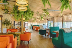 Un espacio interior amplio con suelo de madera, asientos verdes y anaranjados, y plantas colgantes.