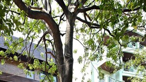 Property entrance - A&A Guest House (Bangkok)