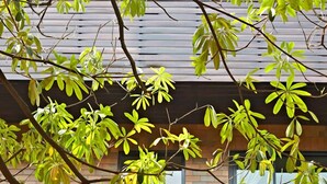Front of property - A&A Guest House (Bangkok)