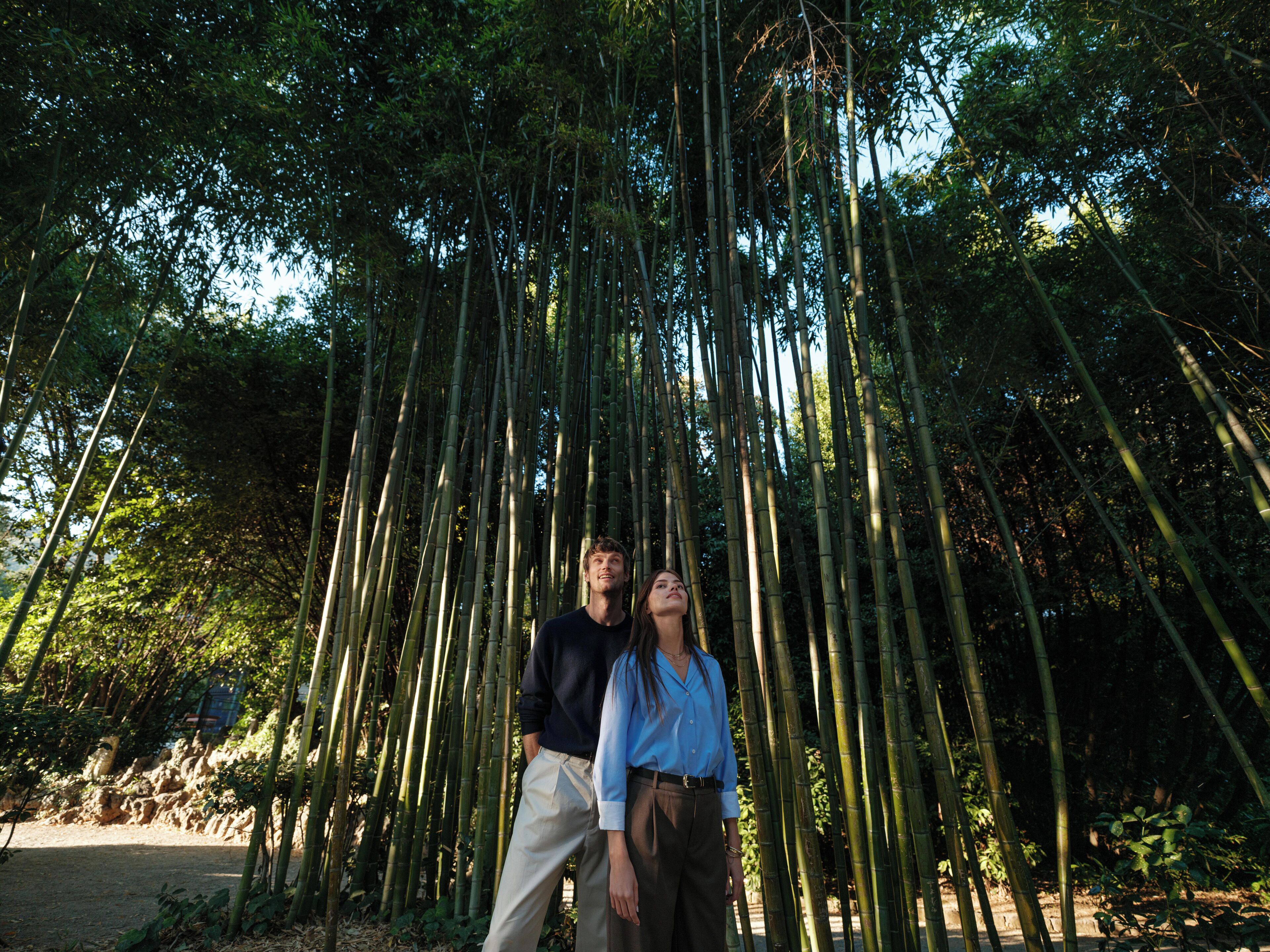 Foto - Amadria Park Hotel Royal
