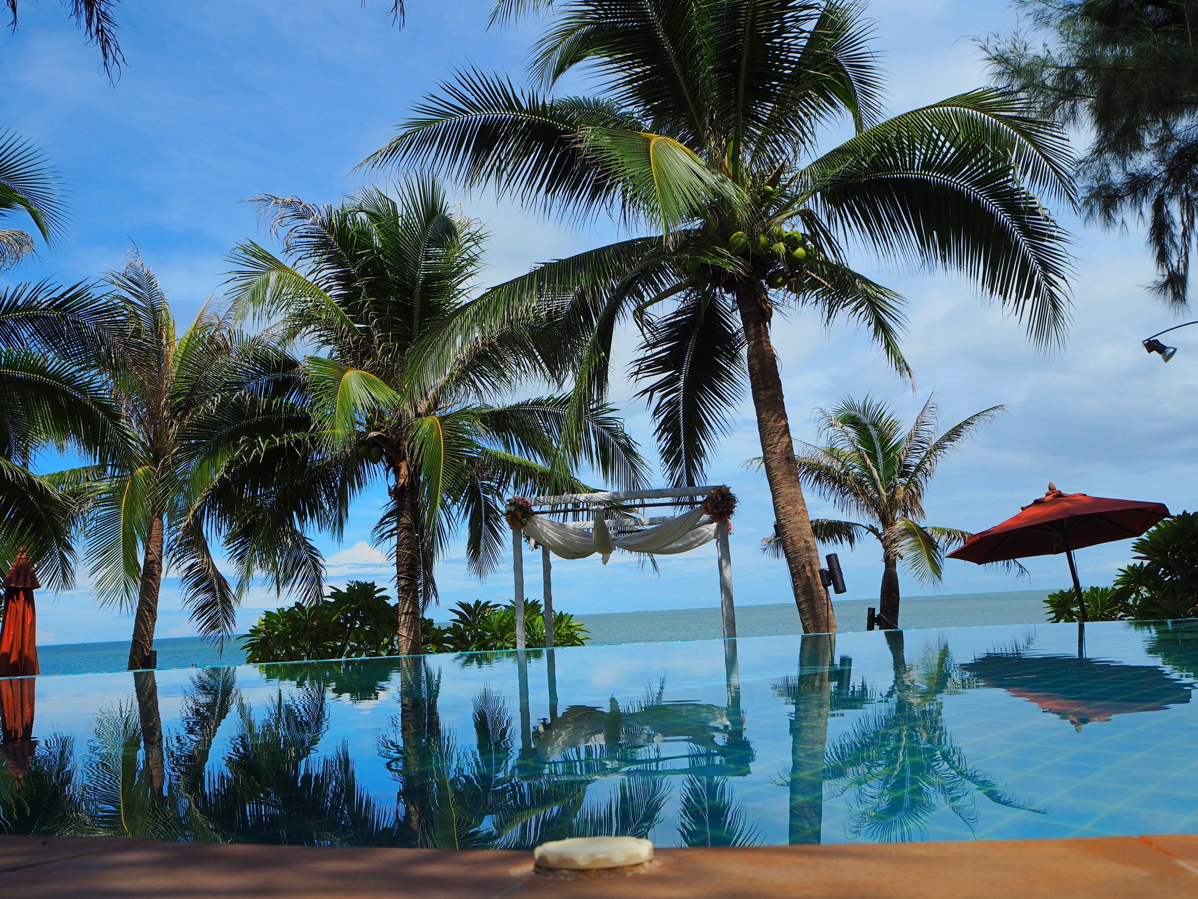 Seasonal outdoor pool, pool umbrellas, pool loungers