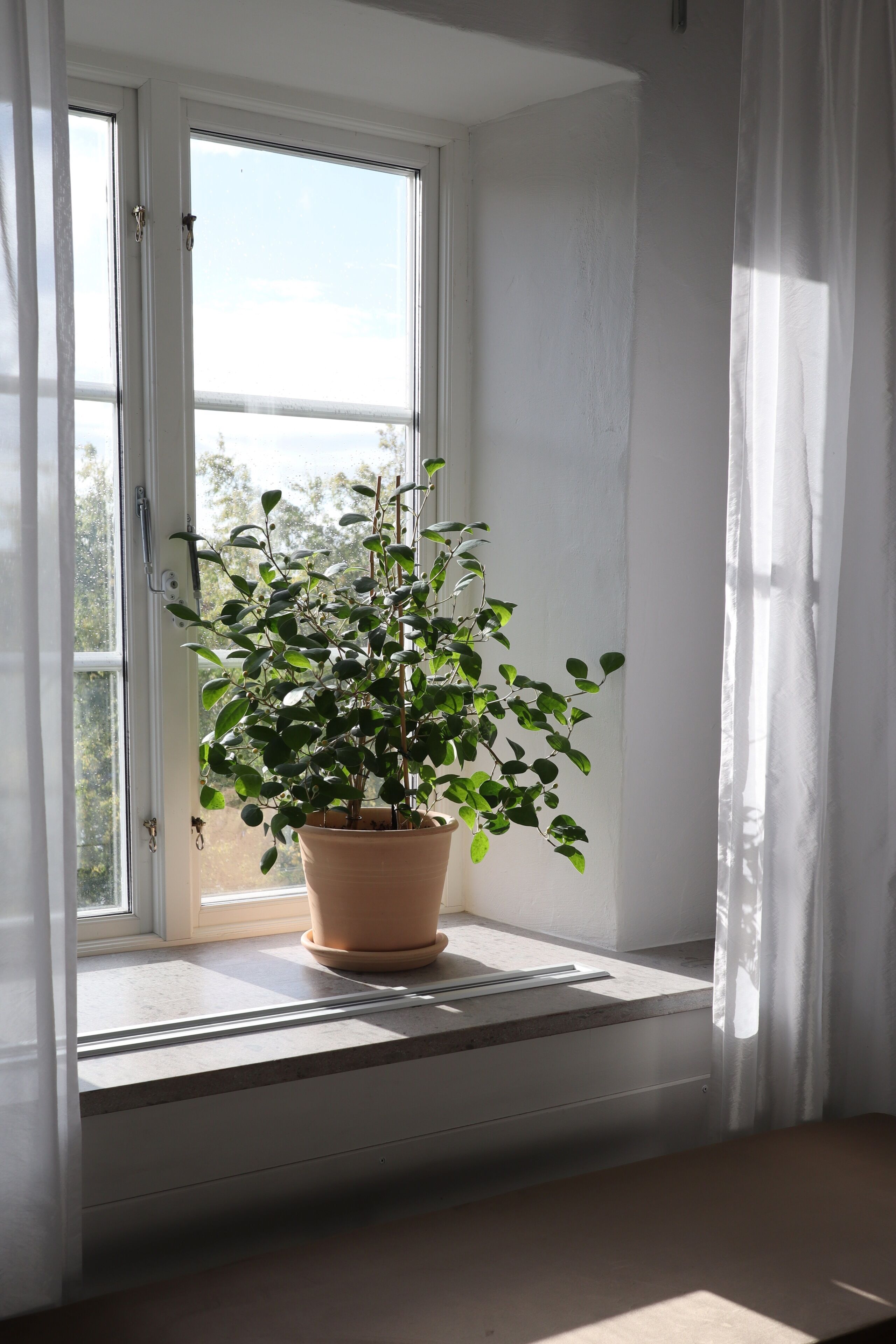 superior double room | 1 bedroom, minibar, in-room safe, individually decorated